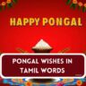 Pongal wishes in Tamil words