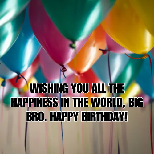 Happy birthday wishes for big brother with love and humor.